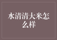 水清清大米：饭桌上的明星，或是池塘里的小石头？