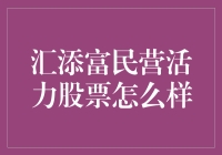 汇添富民营活力股票：稳扎稳打的市场赢家