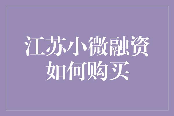 江苏小微融资如何购买