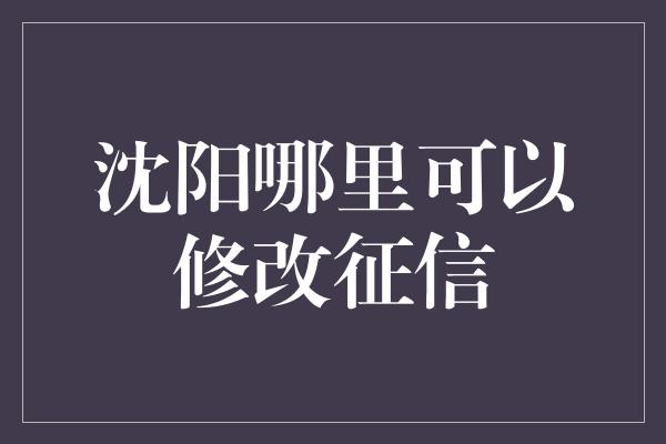 沈阳哪里可以修改征信