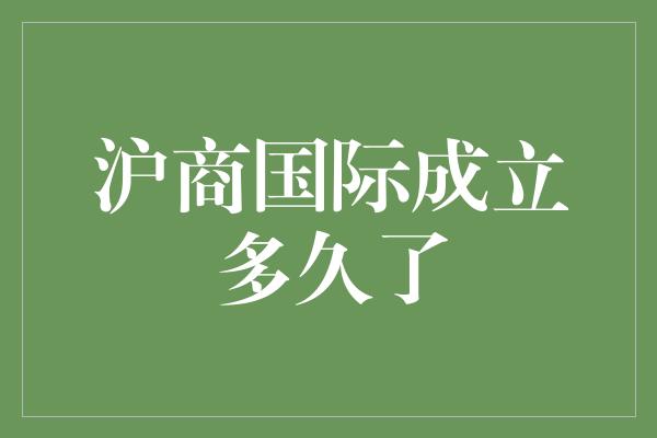 沪商国际成立多久了