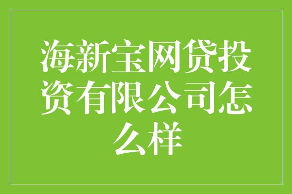 海新宝网贷投资有限公司怎么样