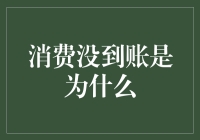 为啥我的消费还没到账？真相大揭秘！