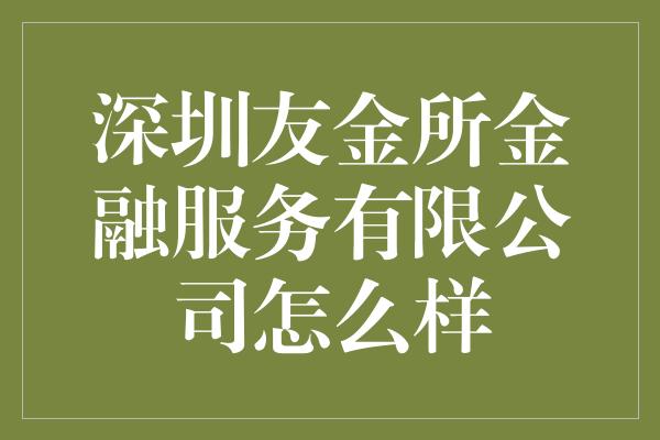 深圳友金所金融服务有限公司怎么样