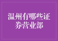 嘿，温州哪家证券公司最给力？