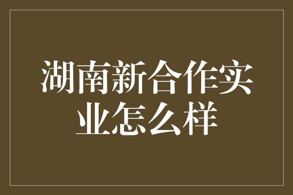 湖南新合作实业怎么样