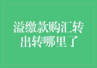 我的钱去哪儿了？——揭秘溢缴款购汇转出的秘密