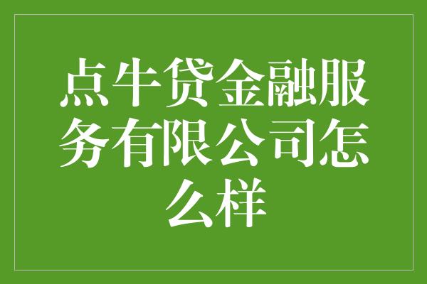 点牛贷金融服务有限公司怎么样