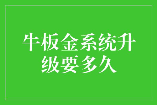 牛板金系统升级要多久