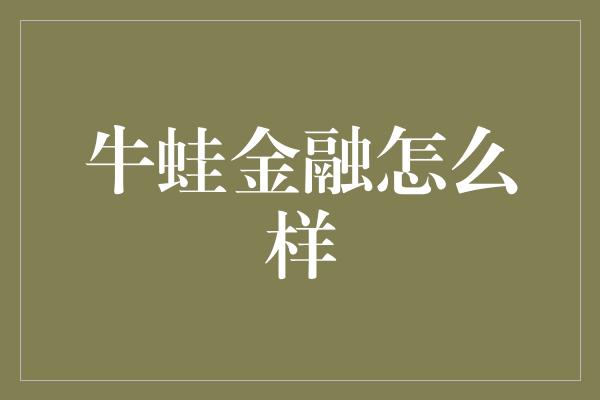 牛蛙金融怎么样