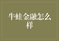 牛蛙金融：科技赋能金融的革新者