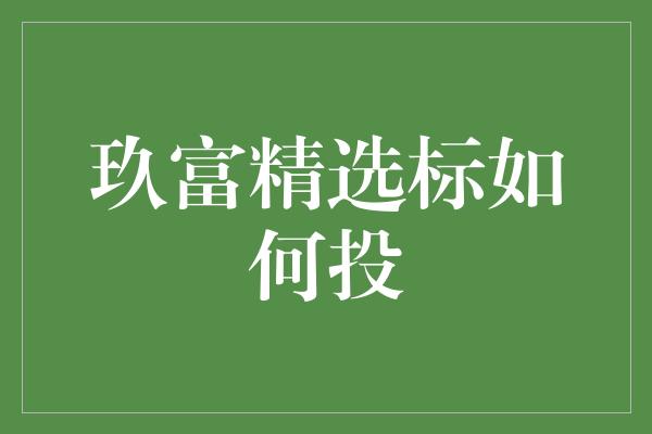 玖富精选标如何投