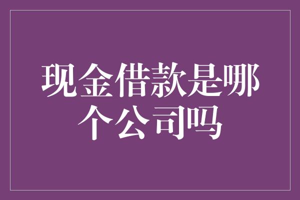 现金借款是哪个公司吗