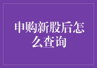 申购新股后如何查询：详细指南与注意事项