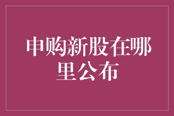 申购新股在哪里公布