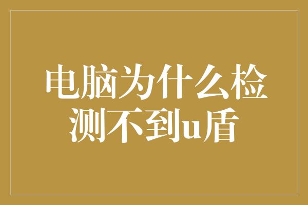 电脑为什么检测不到u盾