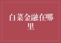 白菜金融：你在哪？是被风吹走了还是被债主欺负了？