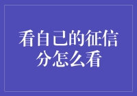 以信用之钥，开启未来之门——如何查看并提升您的个人征信分数