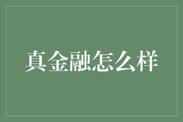 真金融怎么样