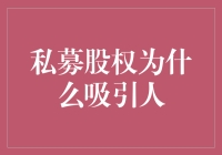 私募股权的魅力：为什么它吸引了众多投资者