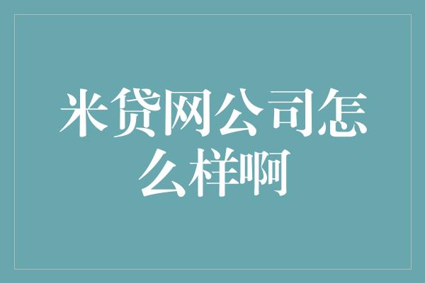 米贷网公司怎么样啊