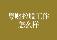 粤财控股工作怎么样：打造金融行业的未来之星