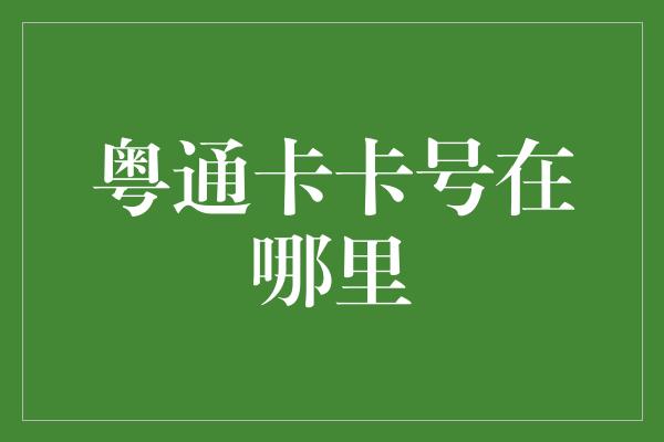 粤通卡卡号在哪里