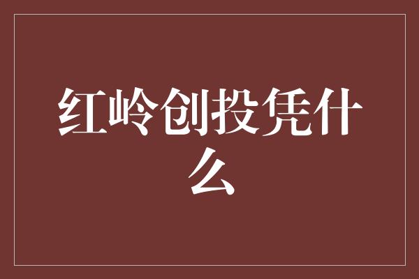 红岭创投凭什么