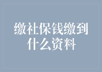 社保缴费，从钱到资料的透明之旅：您的每一分钱都在哪里？