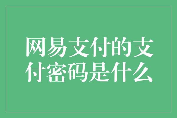 网易支付的支付密码是什么