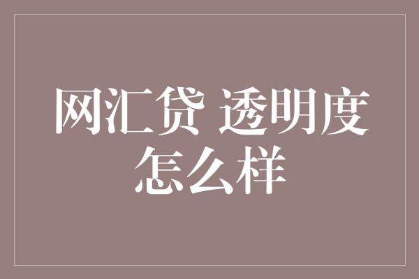 网汇贷 透明度怎么样