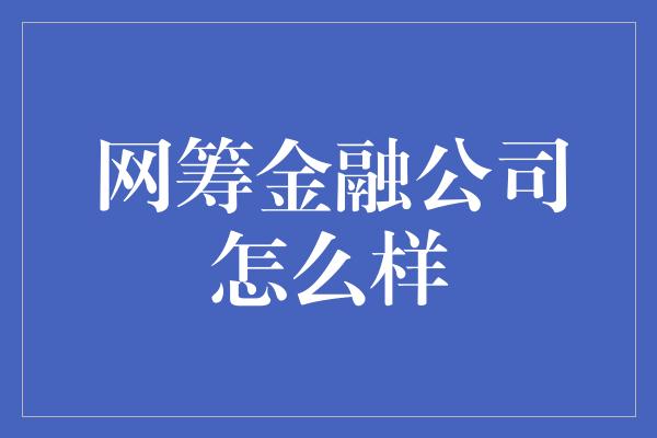 网筹金融公司怎么样