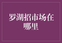 罗湖招市场：找工作就像在做寻宝游戏