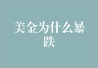 美金为什么会暴跌？解读背后的原因和影响