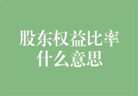 股东权益比率：我有股份，我大声说话！