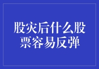 股灾后哪些股票容易反弹？——深度解析应对策略