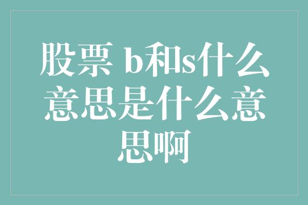 股票 b和s什么意思是什么意思啊