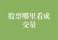 股票成交量查看：多维度解析及策略应用