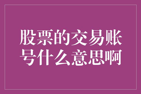 股票的交易账号什么意思啊