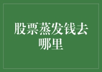 股票蒸发的钱去哪里了：探索股市资金流动之谜