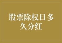 股票除权日：分红到账与股份调整的微妙时间差