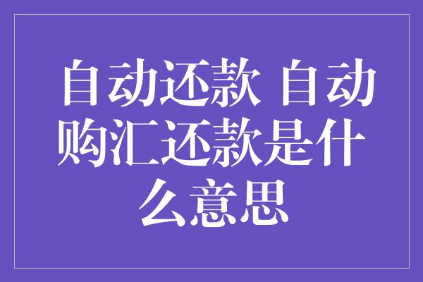 自动还款 自动购汇还款是什么意思