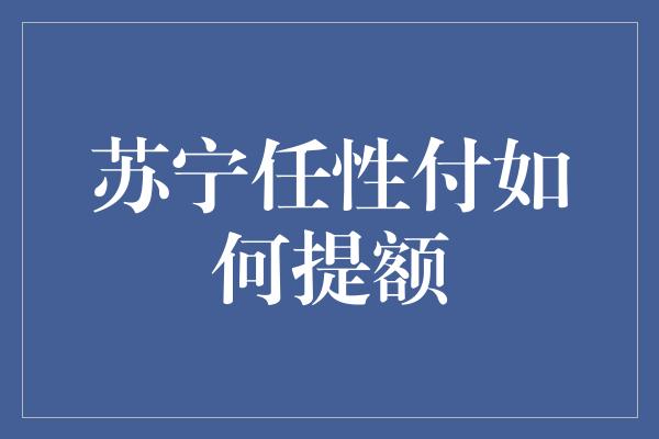 苏宁任性付如何提额