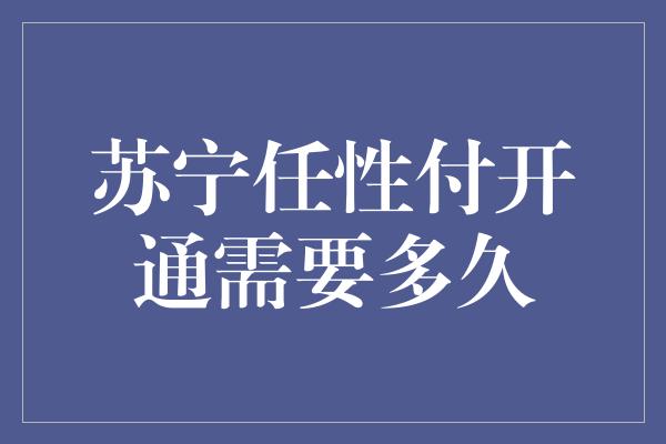 苏宁任性付开通需要多久