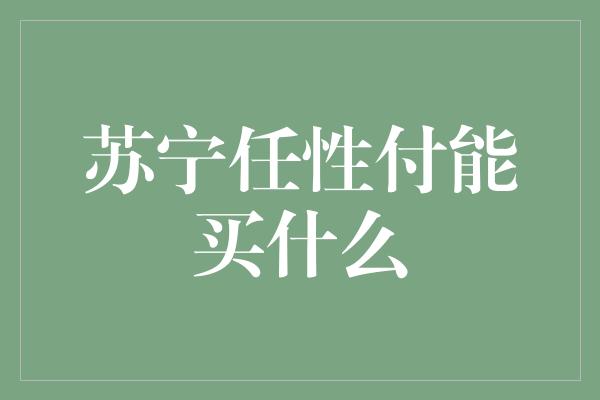 苏宁任性付能买什么