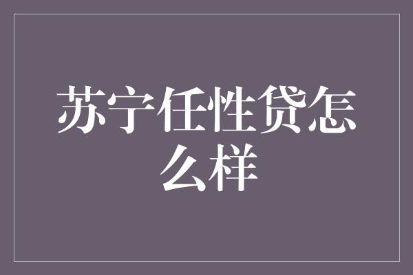 苏宁任性贷怎么样