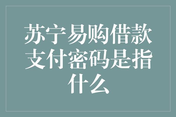 苏宁易购借款支付密码是指什么