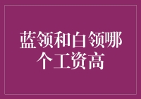 跨越阶层的薪酬分歧：蓝领与白领收入对比分析