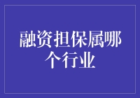 融资担保行业：金融服务体系中的重要基石