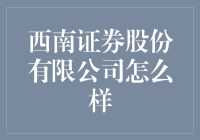 西南证券股份有限公司：专业金融服务的典范